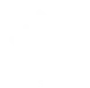 focalgroup